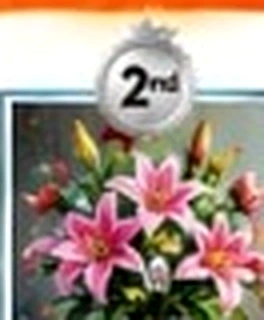 Bouquet of blooming lilies with water droplets on green vase