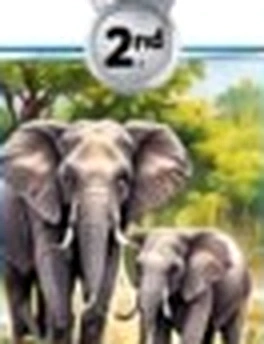 Elephant mother and calf emerging from jungle mist